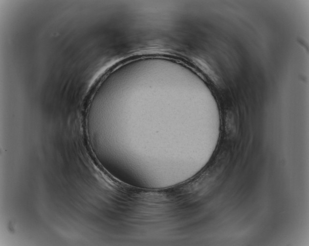 X0000097461356200803071622