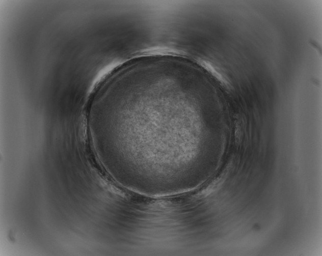 X0000097461358200803071622