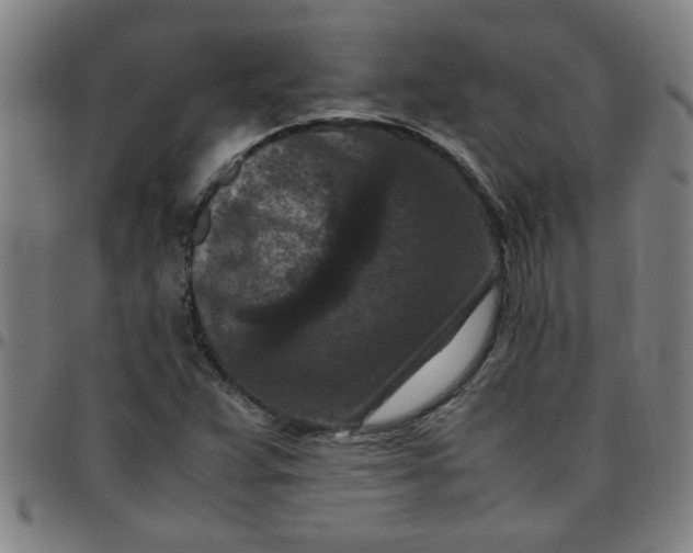 X0000097461359200803071622