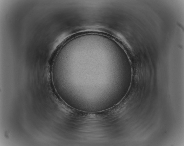 X0000097461360200803071622