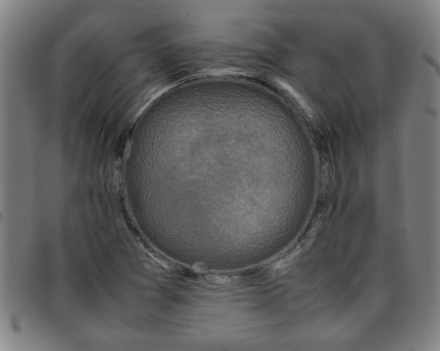 X0000097461361200803071622