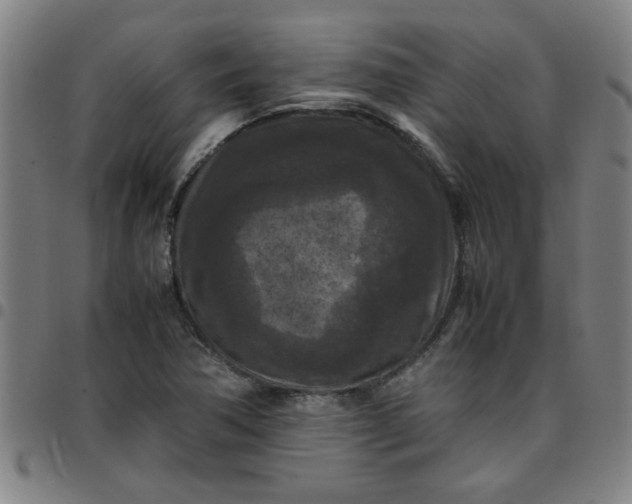 X0000097461362200803071622