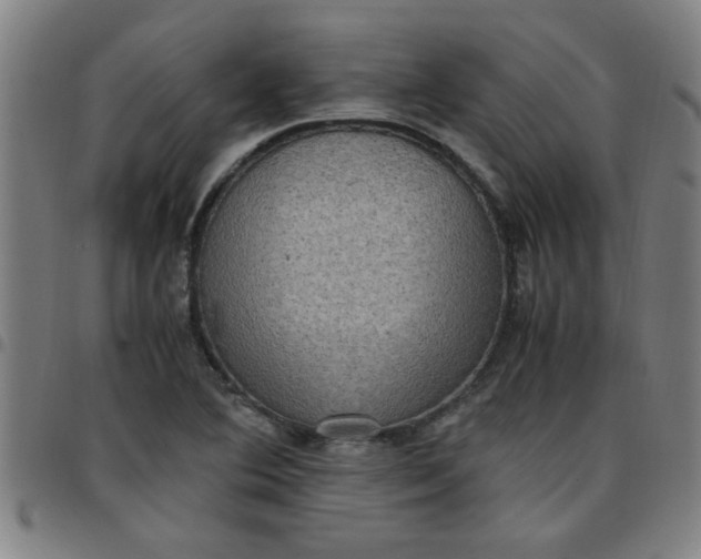 X0000097461364200803071622