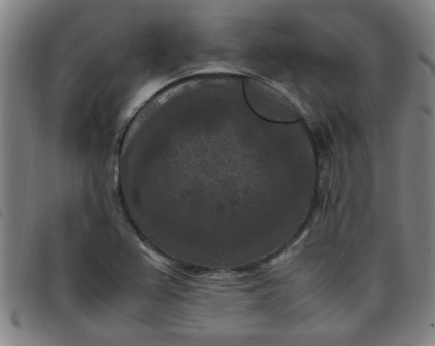 X0000097461367200803071622