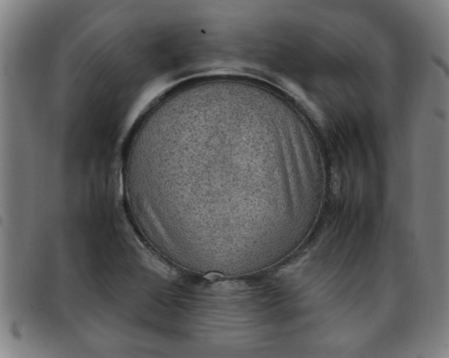 X0000097461368200803071622