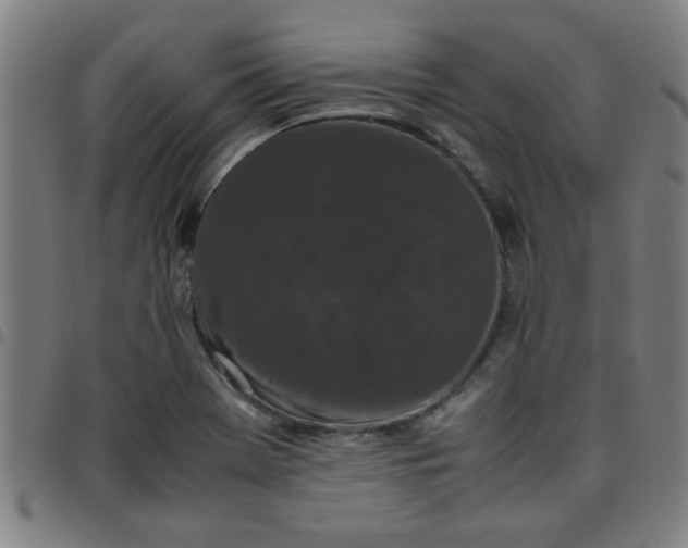 X0000097461369200803071621