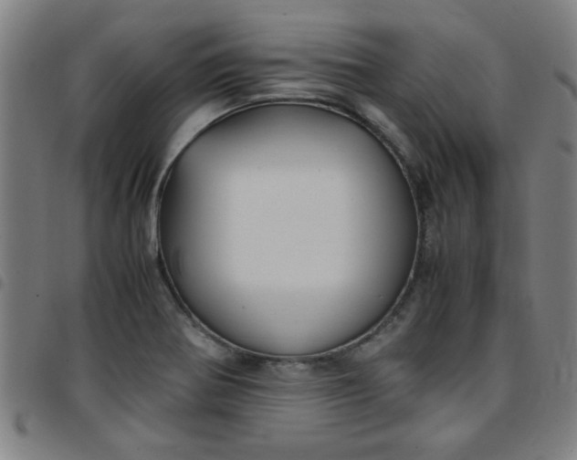 X0000097461370200803071621