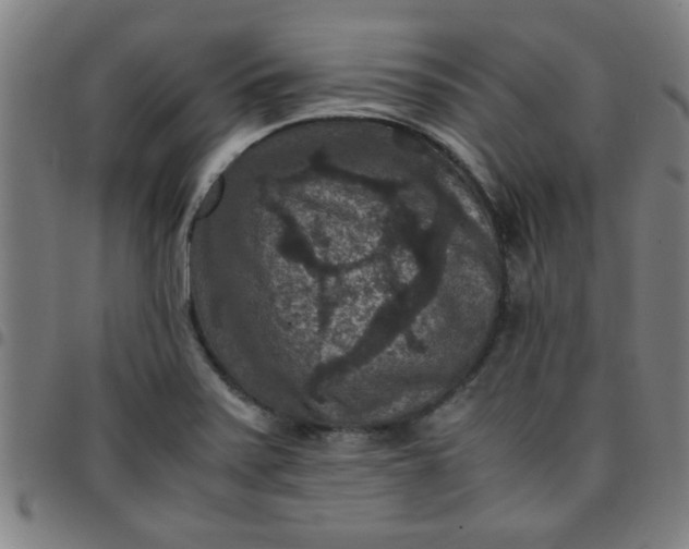 X0000097461371200803071621