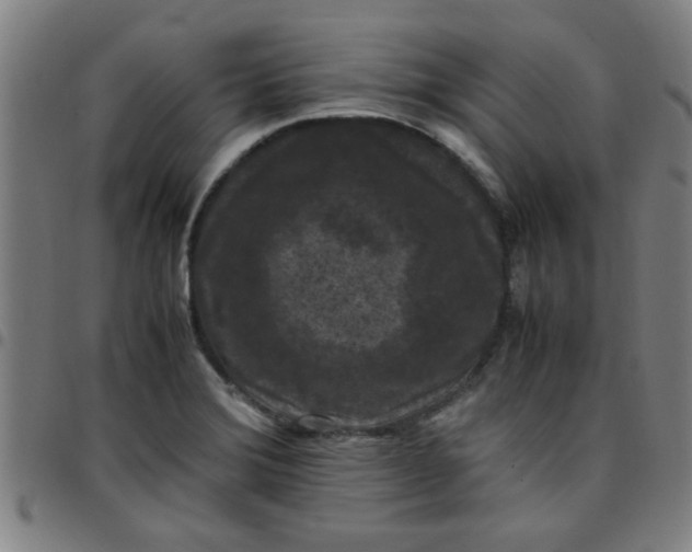 X0000097461372200803071621