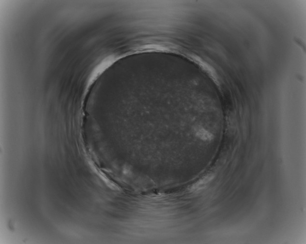 X0000097461373200803071621