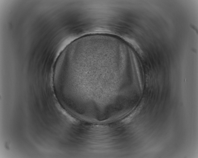 X0000097461374200803071621