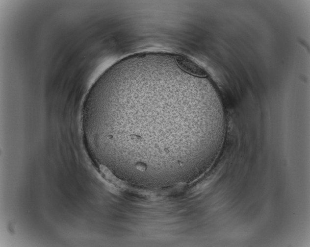 X0000097461375200803071621