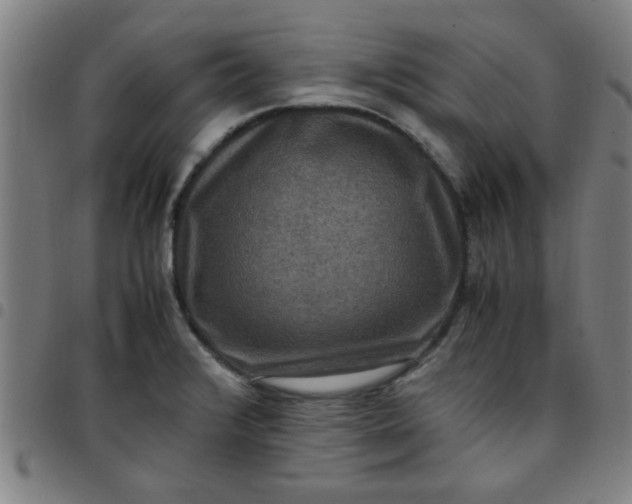 X0000097461376200803071621