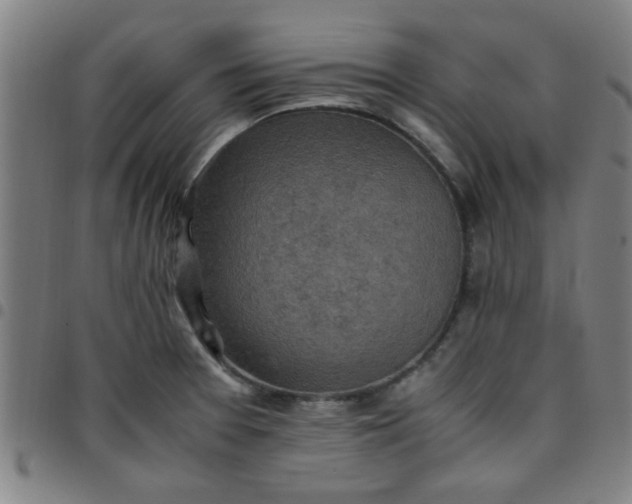 X0000097461377200803071621