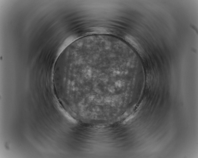 X0000097461378200803071621