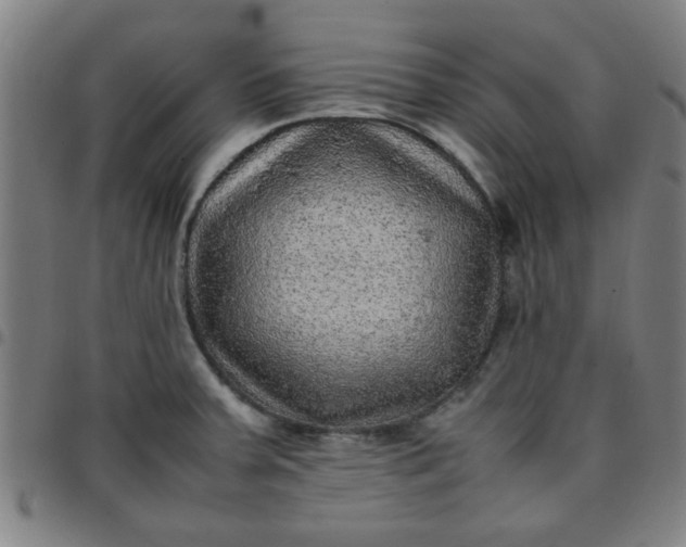 X0000097461379200803071621