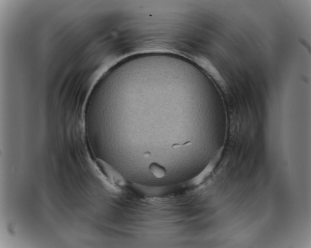 X0000097461380200803071621