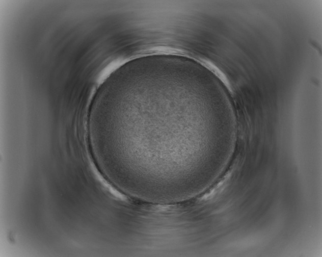 X0000097461381200803071621