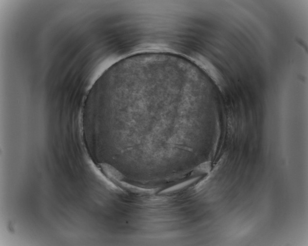 X0000097461382200803071621