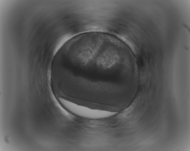 X0000097461383200803071621