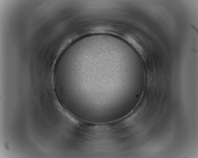 X0000097461384200803071621