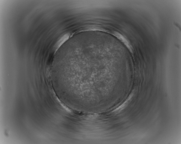 X0000097461385200803071621