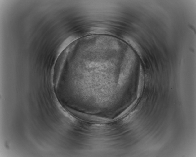 X0000097461386200803071621