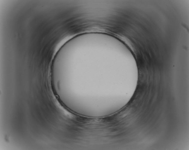 X0000097461387200803071621