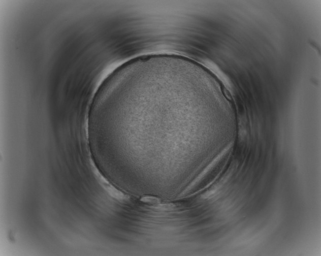 X0000097461388200803071621