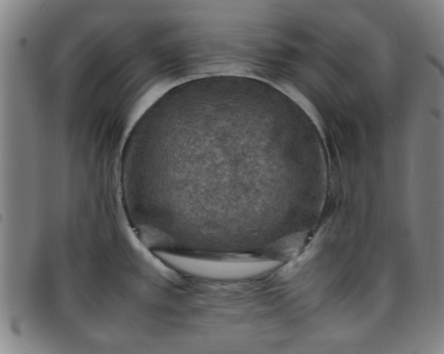 X0000097461389200803071621