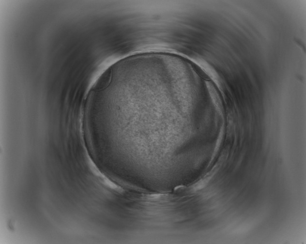 X0000097461390200803071621