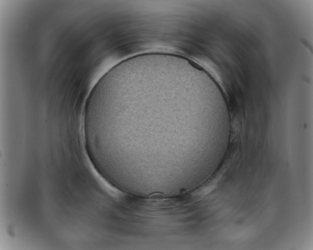 X0000097461391200803071621