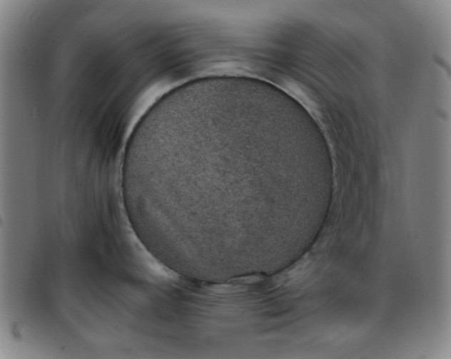 X0000097461392200803071621