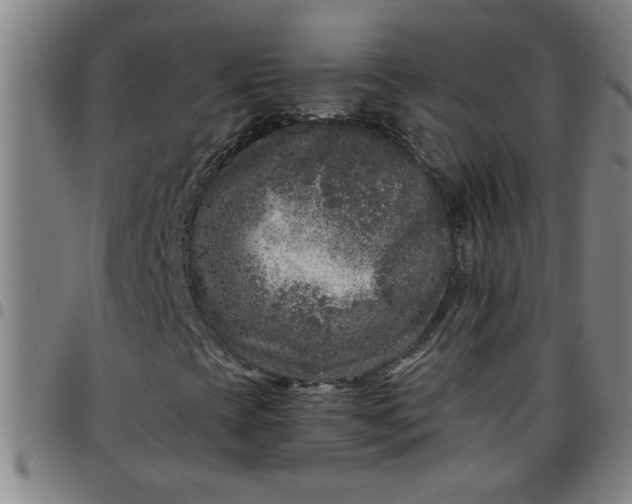 X0000097461393200803071620