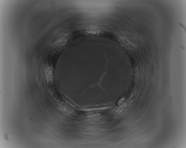 X0000097461394200803071620