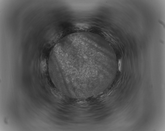 X0000097461395200803071620