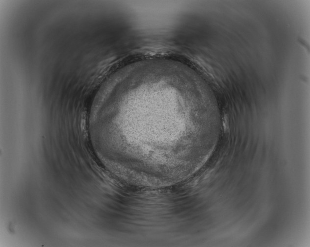 X0000097461396200803071621