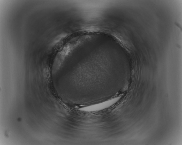 X0000097461398200803071621