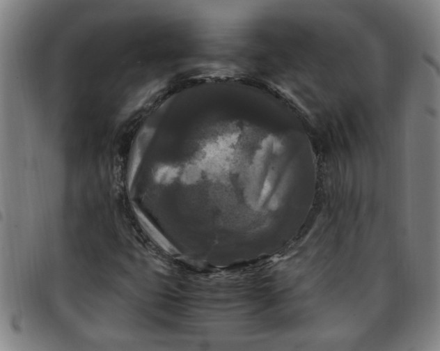 X0000097461399200803071621