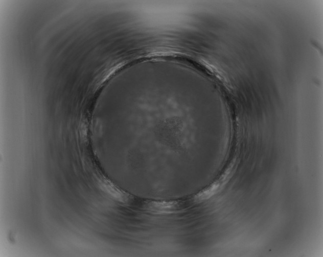 X0000097461401200803071621