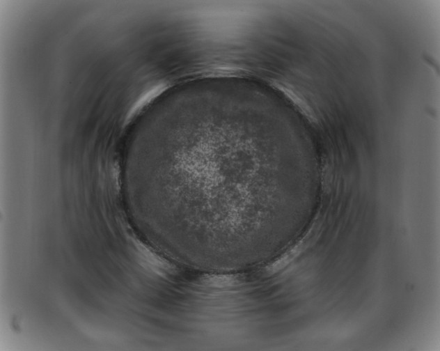 X0000097461402200803071621