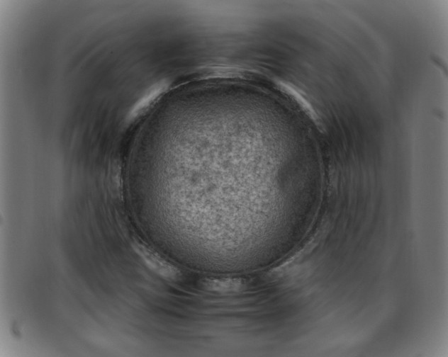 X0000097461403200803071621