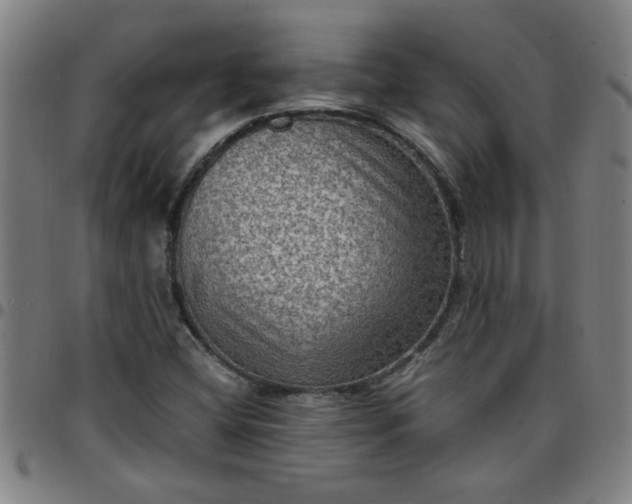 X0000097461404200803071621