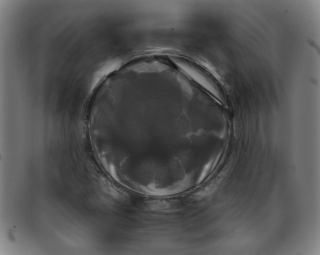 X0000097461405200803071621