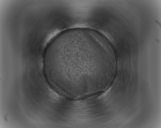 X0000097461406200803071621