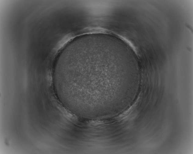 X0000097461407200803071621