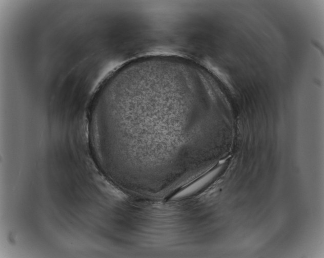 X0000097461408200803071621