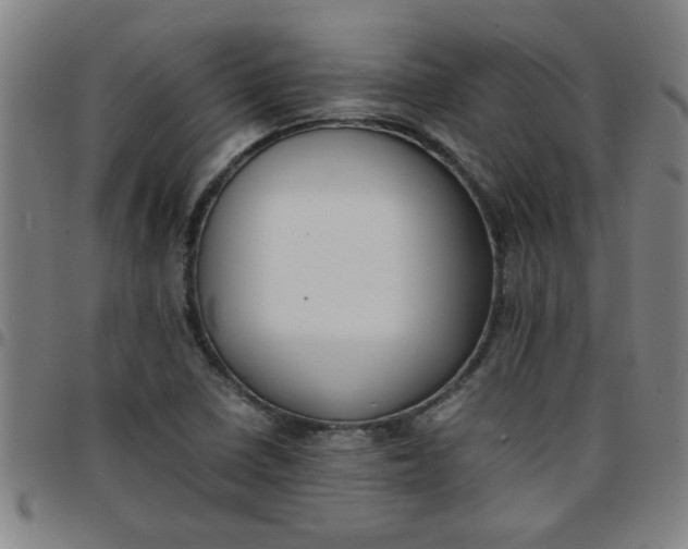 X0000097461410200803071621