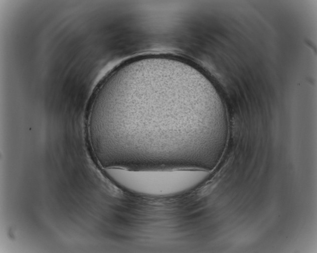 X0000097461412200803071621