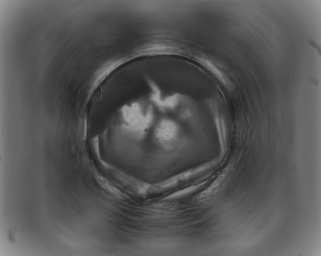 X0000097461413200803071621